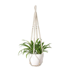 Outdoor Hanging Basket